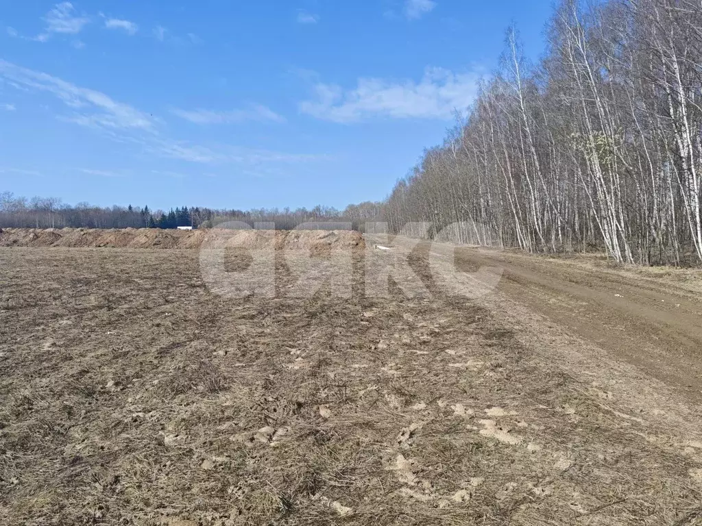 Участок в Московская область, Раменский муниципальный округ, пос. ... - Фото 1