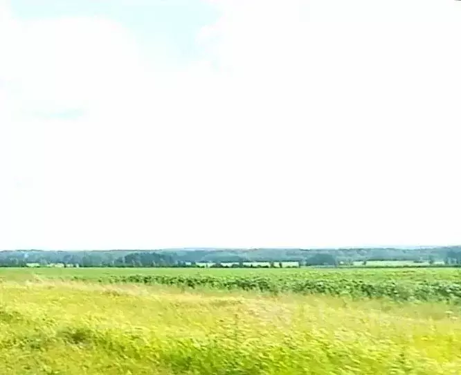 Участок в Московская область, Сергиево-Посадский городской округ, ... - Фото 1