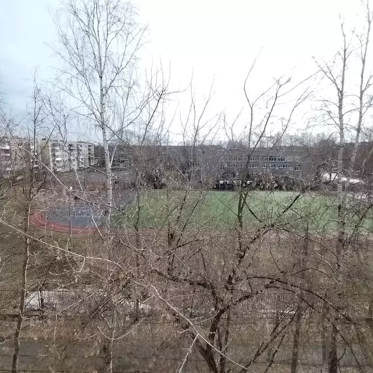 2-к кв. Свердловская область, Невьянск ул. Чапаева, 30/2 (48.0 м) - Фото 0