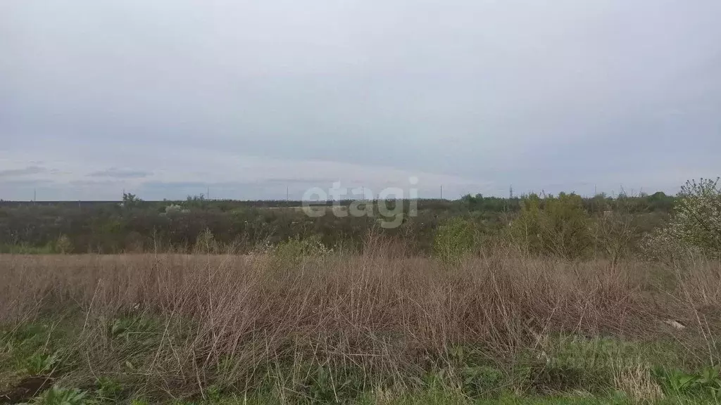Участок в Белгородская область, Белгородский район, Ериковское с/пос, ... - Фото 2