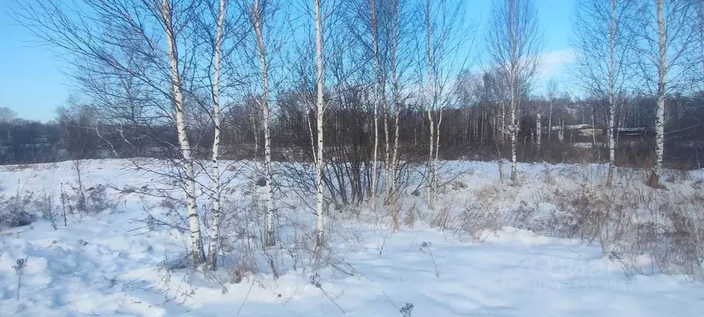 Участок в Новосибирская область, Новосибирский район, Барышевский ... - Фото 1