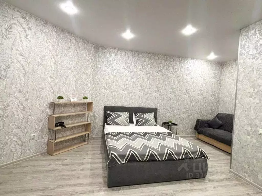 1-к кв. Пензенская область, Пензенский район, Засечный сельсовет, с. ... - Фото 2