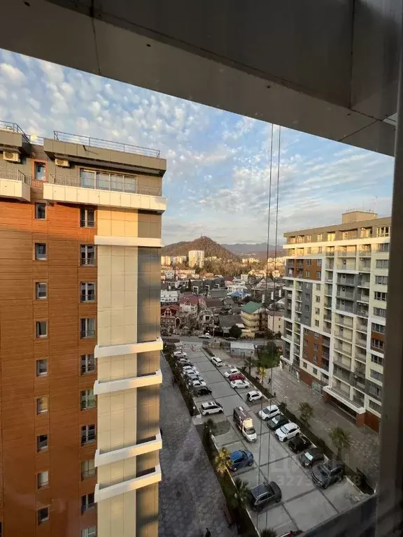 Студия Краснодарский край, Сочи городской округ, Дагомыс пгт ул. ... - Фото 2