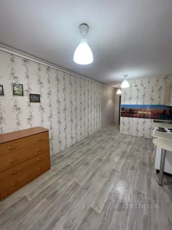 Студия Новосибирская область, Новосибирск ул. Забалуева, 90 (22.7 м) - Фото 2