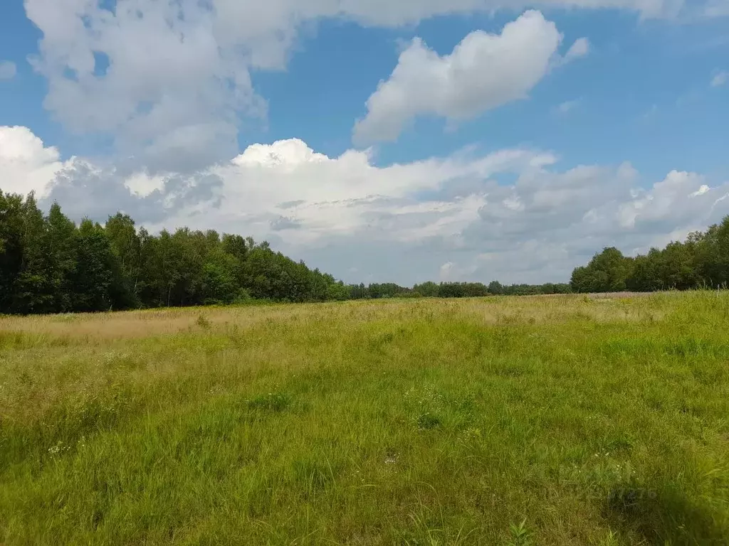 Участок в Хабаровский край, Хабаровский район, Мичуринское с/пос, с. ... - Фото 1