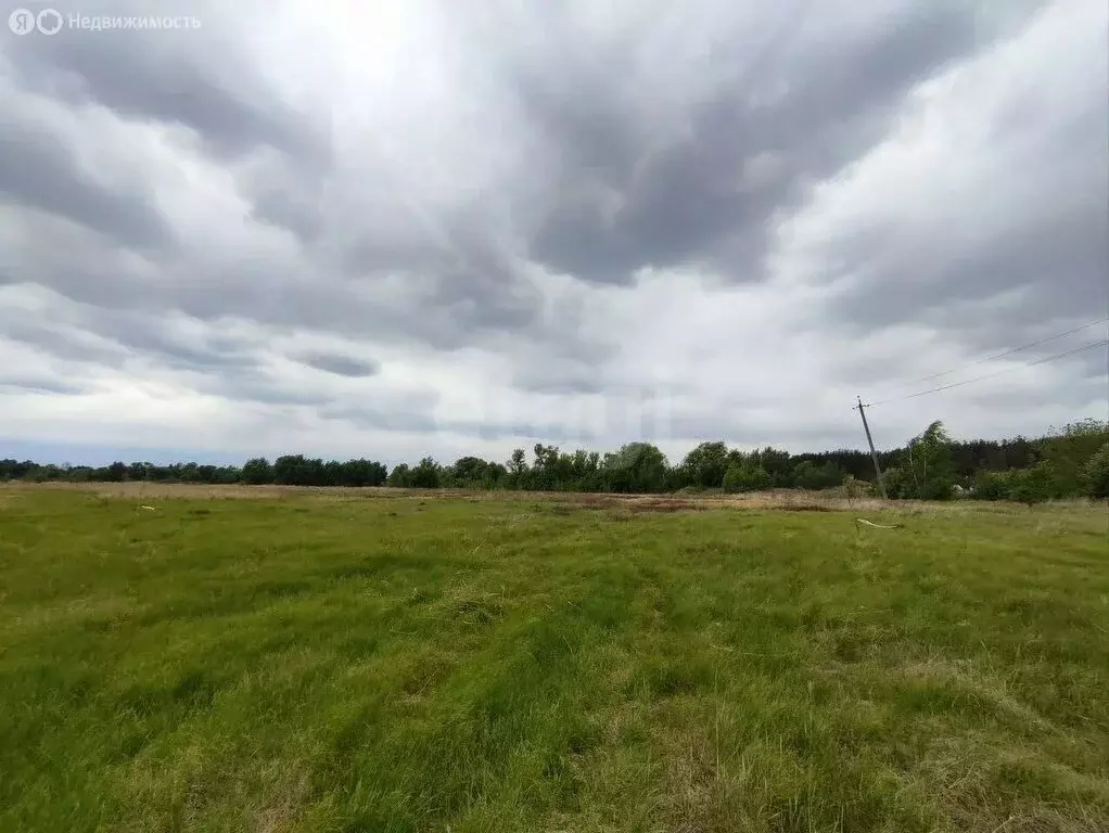 Участок в Воронеж, улица Пятилетка (8 м) - Фото 1