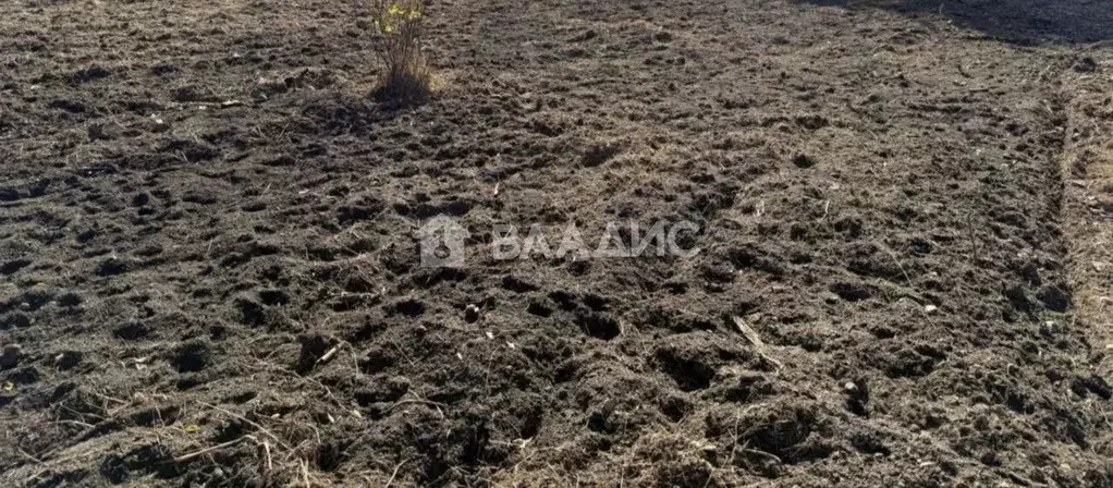 Участок в Иркутская область, Иркутский муниципальный округ, ... - Фото 2