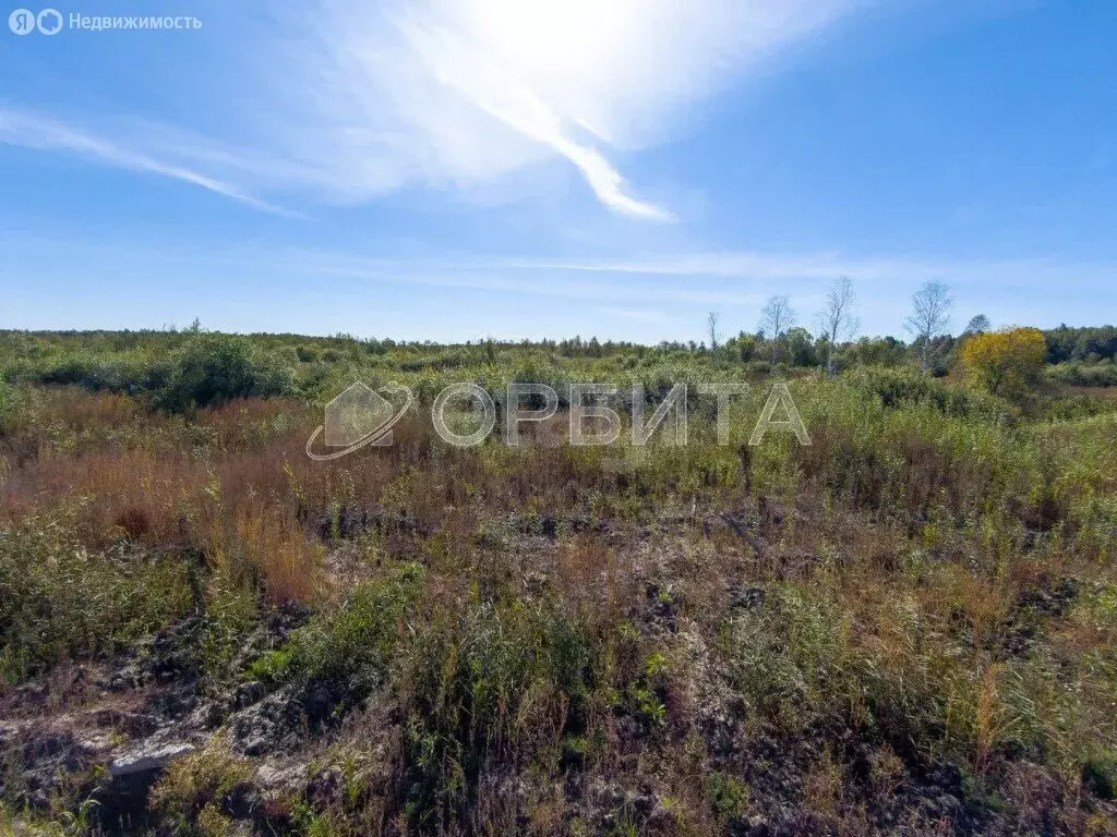 Участок в Нижнетавдинский район, СНТ Аракчино (6.67 м) - Фото 1