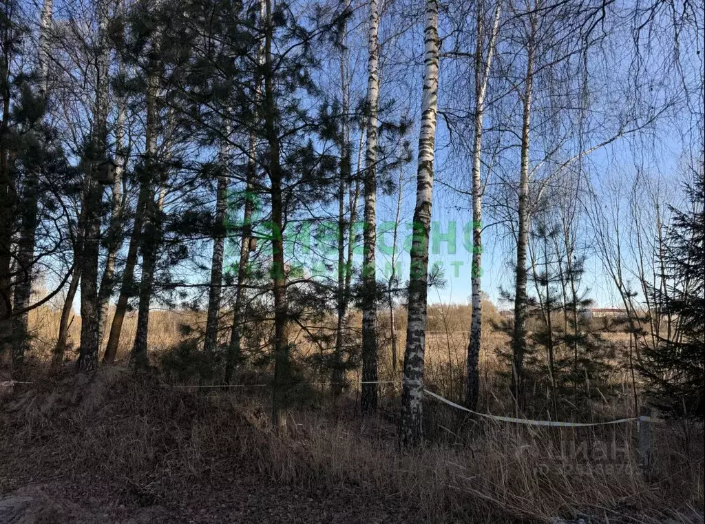 Участок в Брянская область, Выгоничский район, Кокинское с/пос, с. ... - Фото 2