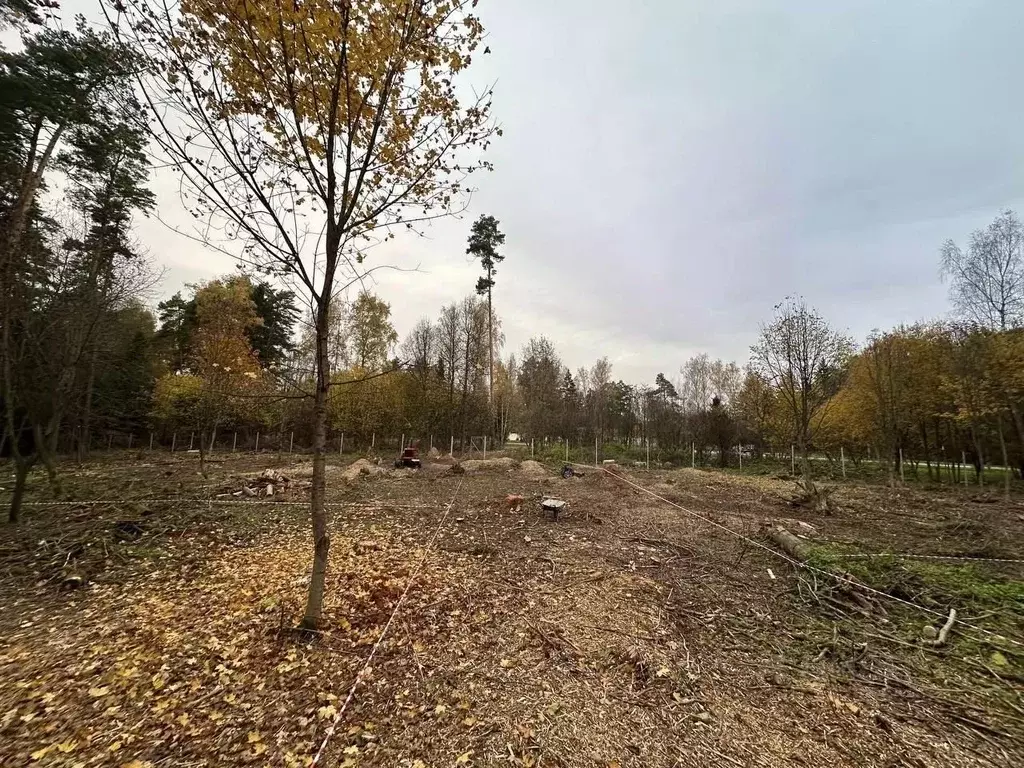 Участок в Москва д. Городище, уч2-1 (6.3 сот.) - Фото 1