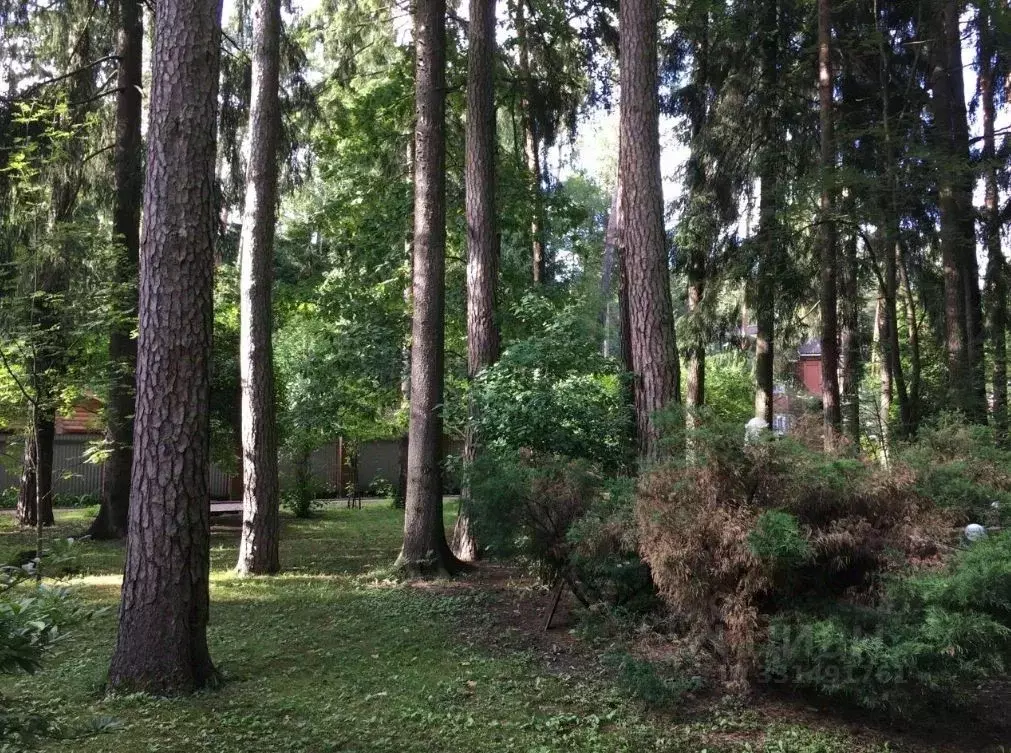 Участок в Московская область, Одинцовский городской округ, с. Юдино, ... - Фото 1
