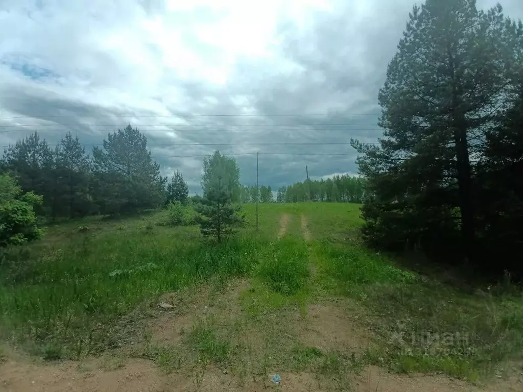 Участок в Новгородская область, Демянский муниципальный округ, д. ... - Фото 1