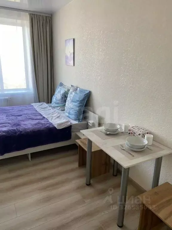 Студия Новосибирская область, Новосибирск Большевистская ул., 35 (20.0 ... - Фото 1