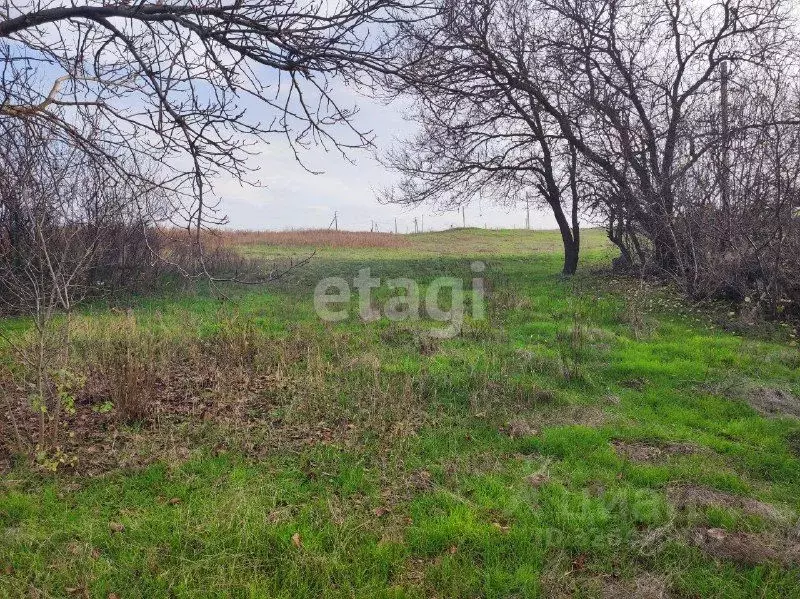 Дом в Ростовская область, Неклиновский район, с. Троицкое Кавказская ... - Фото 2