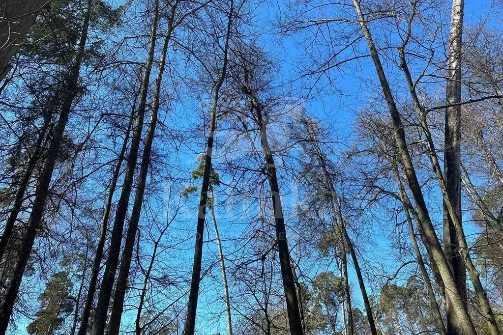 Участок в Московская область, Красногорск городской округ, с. ... - Фото 1