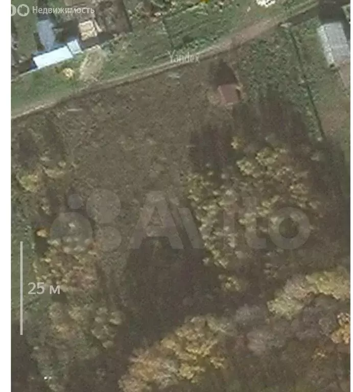 Участок в Шелангерское сельское поселение, деревня Шелангер (30 м) - Фото 1