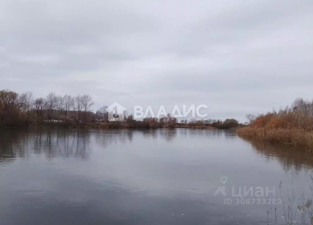 Дом в Новосибирская область, Коченевский район, д. Троицк Приозерная ... - Фото 0