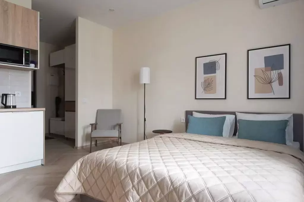 Студия Санкт-Петербург Лесной просп., 23/19 (26.0 м) - Фото 0