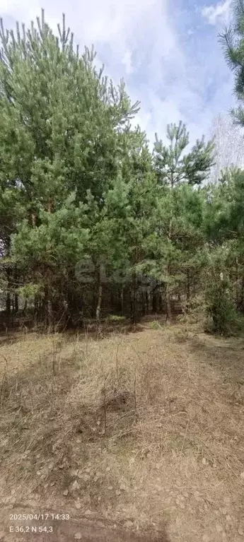 Дом в Калужская область, Перемышльский район, Корекозево с/пос, д. ... - Фото 2