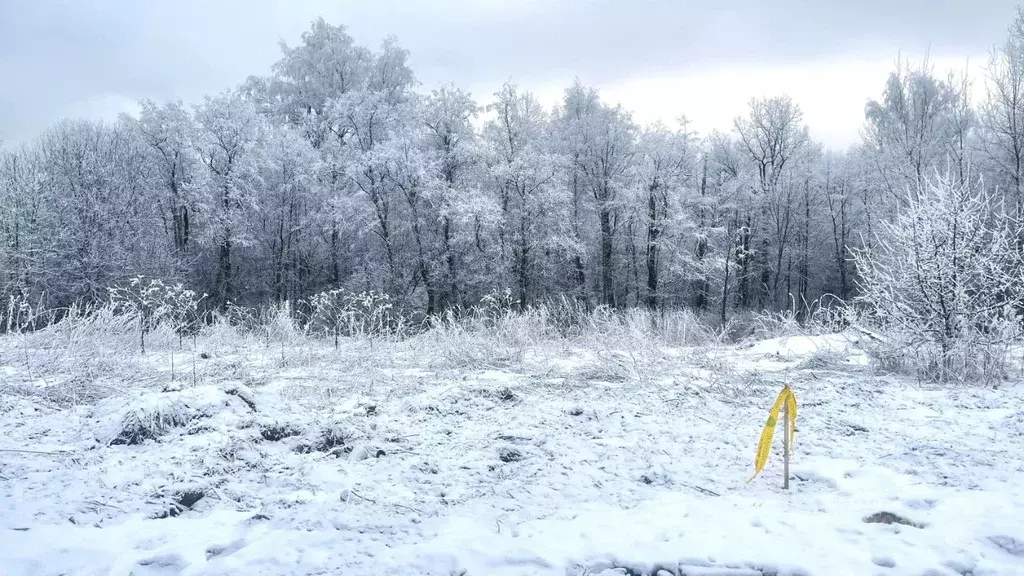Участок в Московская область, Дмитровский муниципальный округ, д. ... - Фото 1