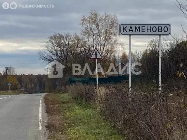 Участок в муниципальное образование Вахромеевское, деревня Каменово, ... - Фото 0