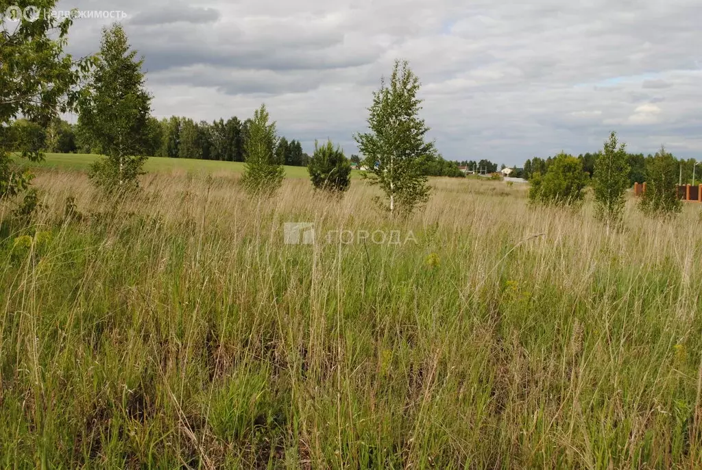 Участок в Садовый, Областная улица, 6 (10 м) - Фото 2