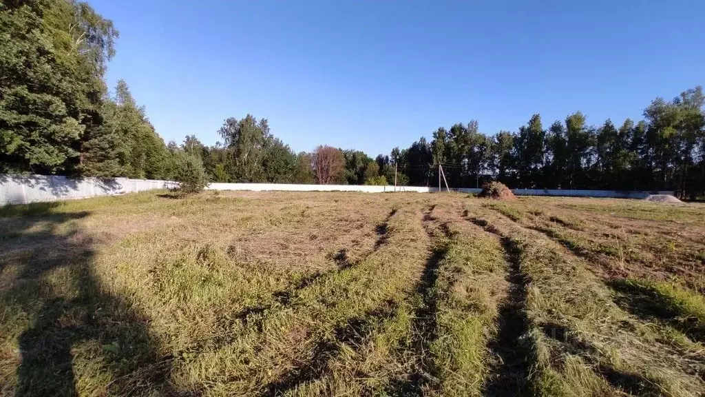 Участок в Калужская область, Тарусский район, Алекино с/пос, д. ... - Фото 2