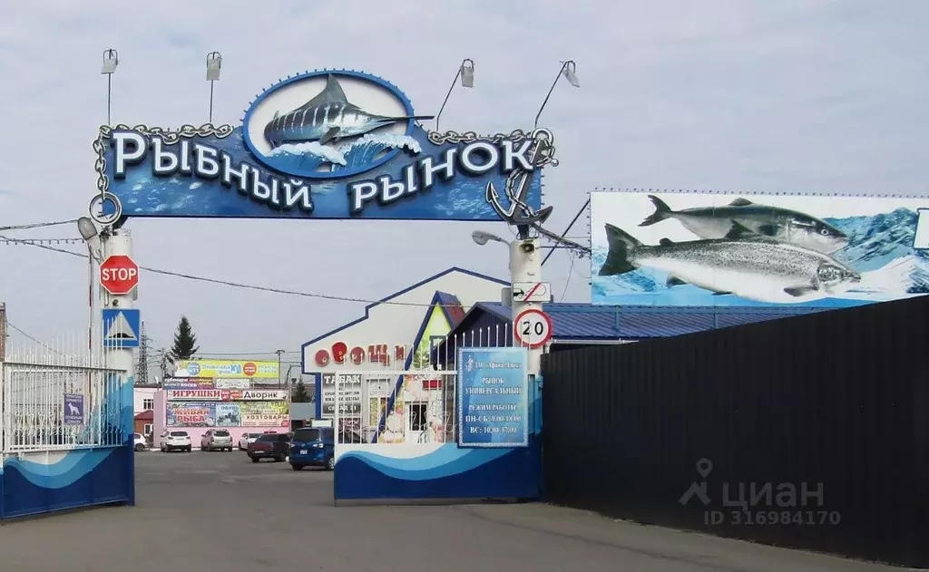 Торговая площадь в Омская область, Омск ул. 10 лет Октября, 207Ак3 (7 ... - Фото 1