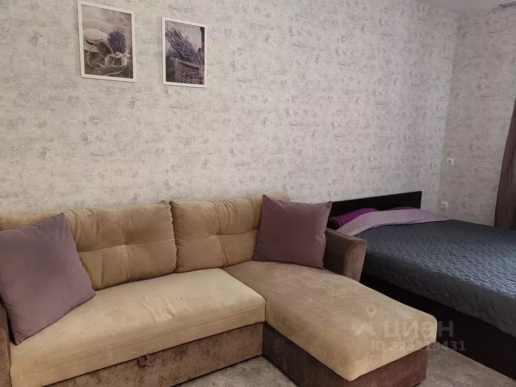 Студия Московская область, Звенигород Одинцовский городской округ, ул. ... - Фото 1