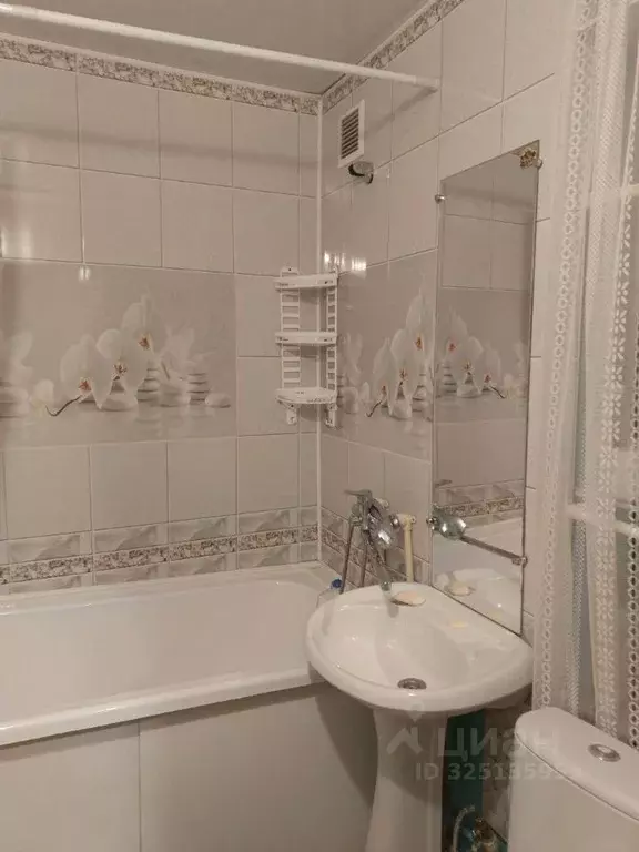 1-к кв. Омская область, Омск ул. Гуртьева, 17 (30.0 м) - Фото 2