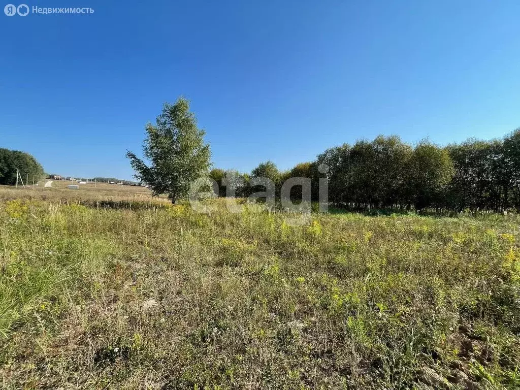 Участок в Тульская область, городской округ Тула, посёлок Торхово (15 ... - Фото 1
