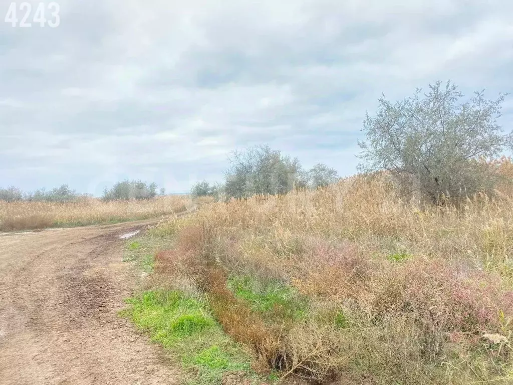 Участок в Крым, Сакский район, Уютненское с/пос, ОСК Союз-2004 тер. 52 ... - Фото 1