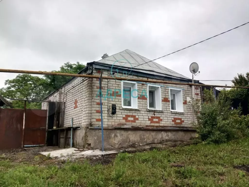 Дом 37,4 м на участке 56 сот. - Фото 1