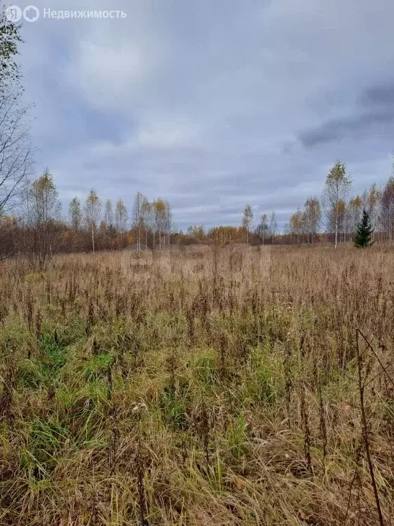 Участок в Костромская область, городской округ Шарья, деревня ... - Фото 0