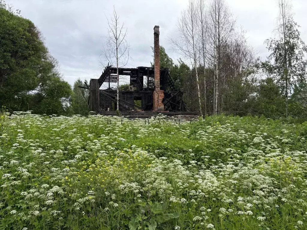 Участок в Ленинградская область, Приозерский район, Сосновское с/пос, ... - Фото 1