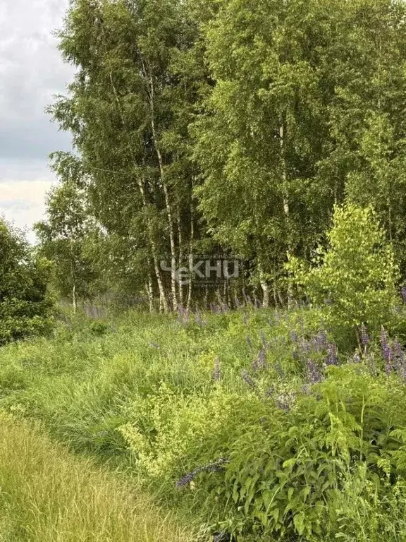 Участок в Нижегородская область, Нижний Новгород городской округ, д. ... - Фото 1