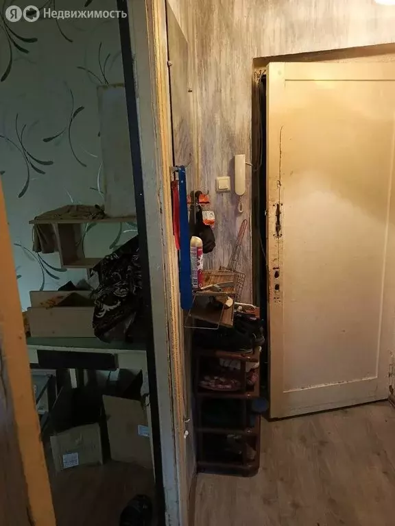 1-комнатная квартира: Кириши, улица Строителей, 22 (21 м) - Фото 1