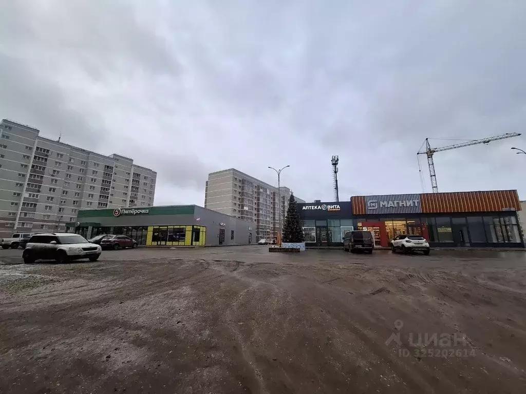 Студия Ярославская область, Ярославский муниципальный округ, пос. ... - Фото 2