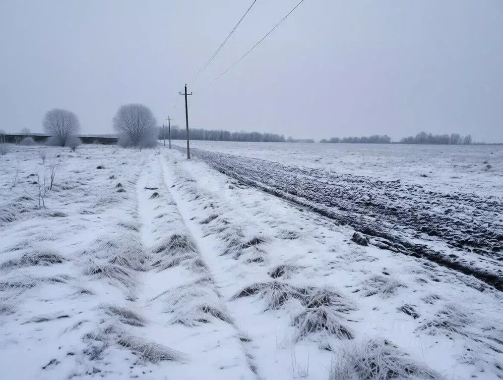 Участок в Тульская область, Ясногорский район, Ревякинское с/пос, с. ... - Фото 1