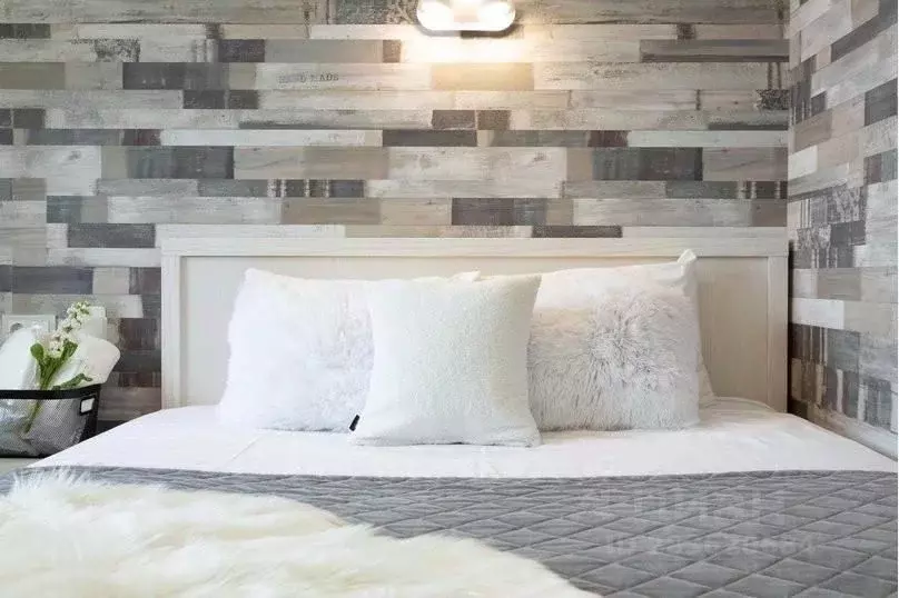 1-к кв. Липецкая область, Липецк ул. М.И. Неделина, 10 (20.0 м) - Фото 2