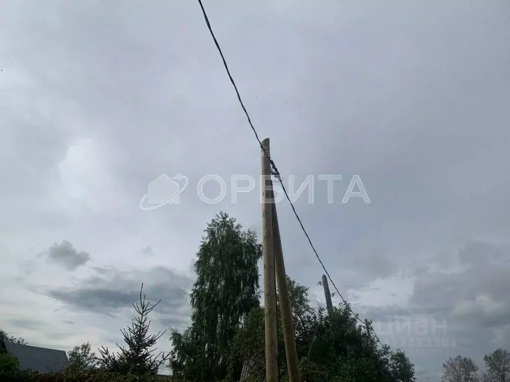 Участок в Тюменская область, Тюмень Россиянка садовое товарищество, ... - Фото 1