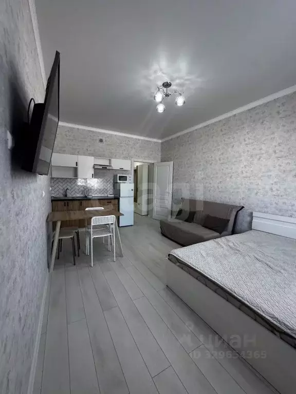 Студия Краснодарский край, Анапа проезд Межсанаторный, 19 (29.0 м) - Фото 1