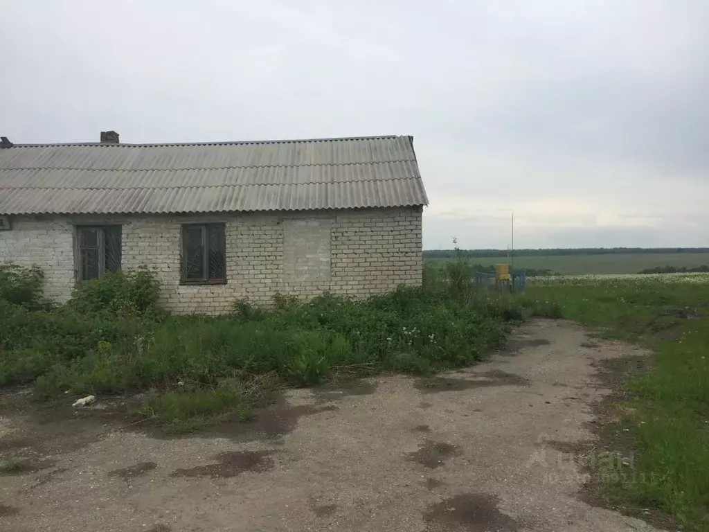 Помещение свободного назначения в Рязанская область, Скопинский район, ... - Фото 1