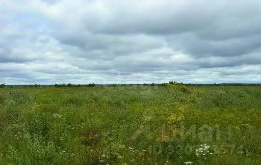 Участок в Ленинградская область, Кингисеппский район, Опольевское ... - Фото 0
