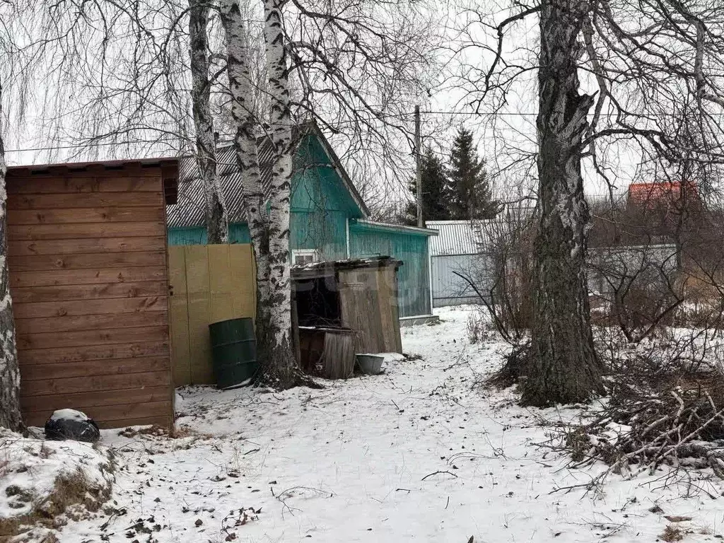 Участок в Тюменская область, Тюмень СОСН Тура тер., ул. Пихтовая (6.84 ... - Фото 1