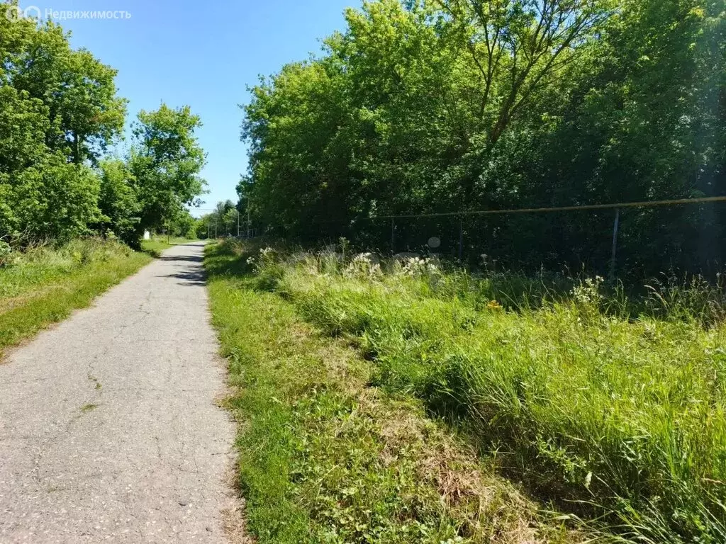 Участок в Белгородская область, Борисовский муниципальный округ, село ... - Фото 2