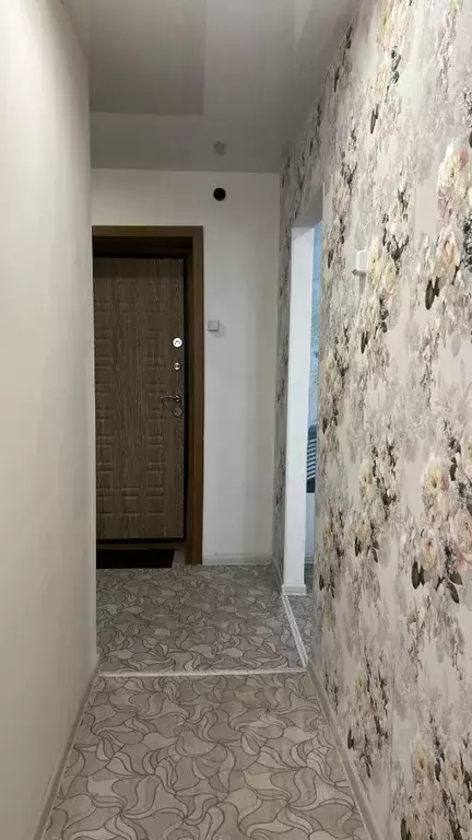 1-к кв. Забайкальский край, Чита ул. Балябина, 53 (50.0 м) - Фото 1