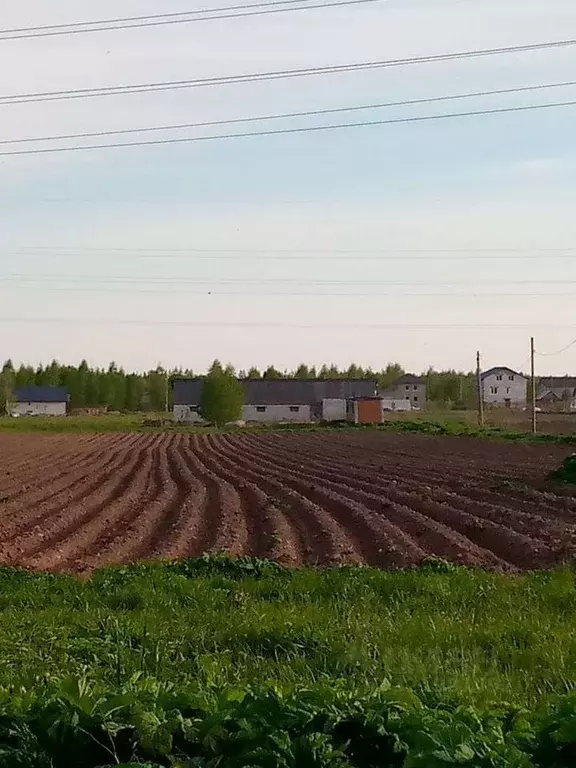 Участок в Новгородская область, Новгородский район, Бронницкое с/пос, ... - Фото 2