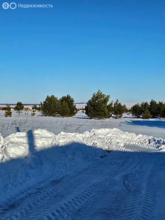 Участок в Высокогорский район, Чернышевское сельское поселение, село ... - Фото 0