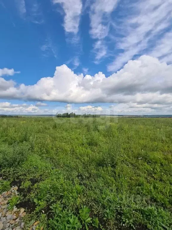 Участок в Мордовия, Лямбирский район, Берсеневское с/пос, Альтерра кп  ... - Фото 2